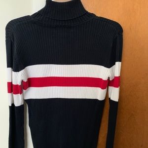 Blue Stripped Fitted Turtleneck Sweater